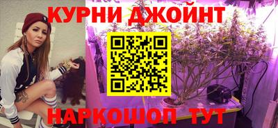 мяу мяу мука Краснознаменск