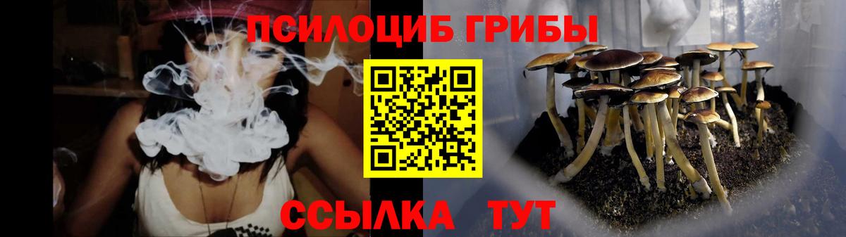 Галлюциногенные грибы прущие грибы  Вход с VPN  Тулун 